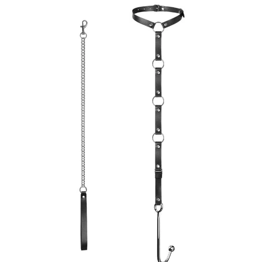 EverydayUse Anal Hook and Kinky Leash 5853 with Collar 0320